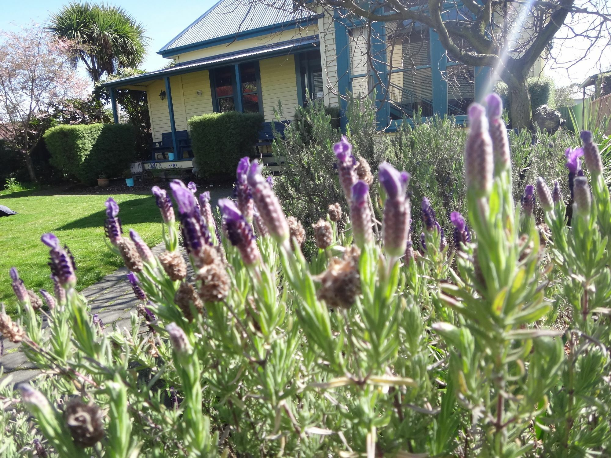 The Old Countryhouse Christchurch Extérieur photo